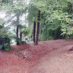 Cernigliaro Dimora Storica 4*