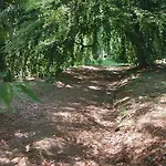 Frühstückspension Cernigliaro Dimora Storica
