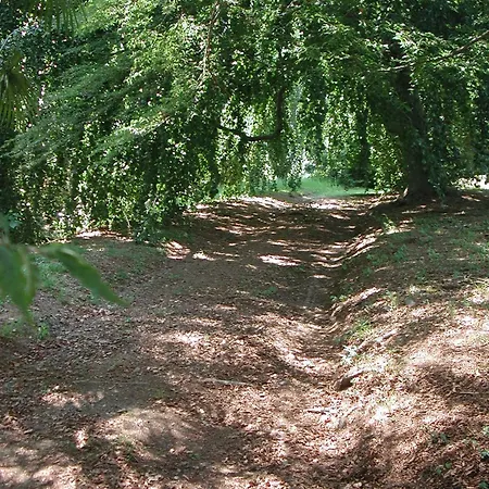 לינה וארוחת בוקר Cernigliaro Dimora Storica